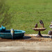 Birds around a bird bath and feeder on a wooden deck with a grassy background