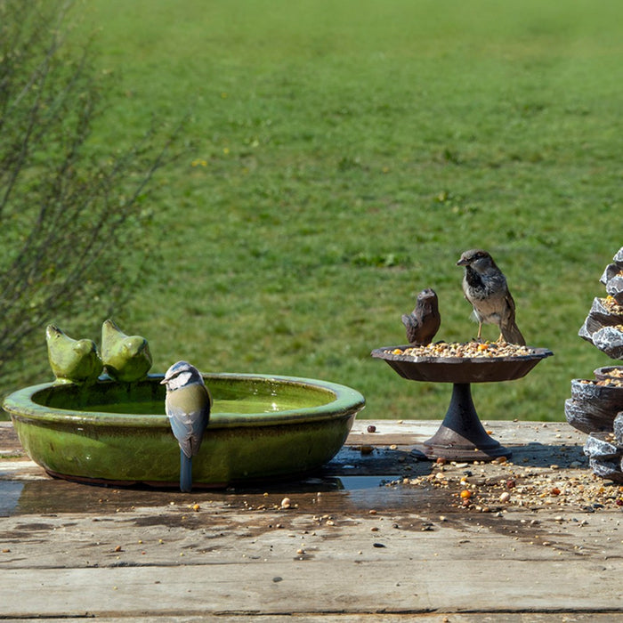 Birds around a green bird bath and a bird feeder on a wooden deck with grass in the background.