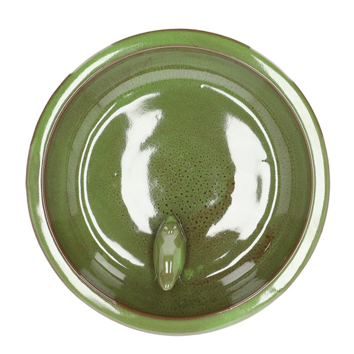 Green ceramic plate with a fish design on a white background