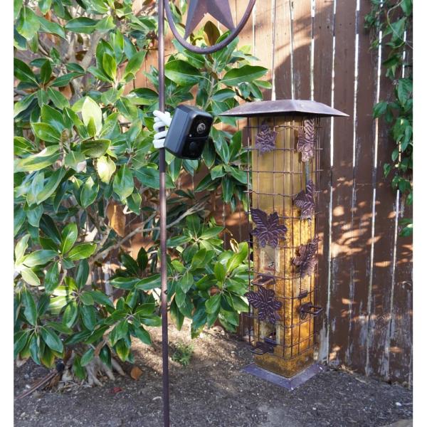 BeakView Feather Cam