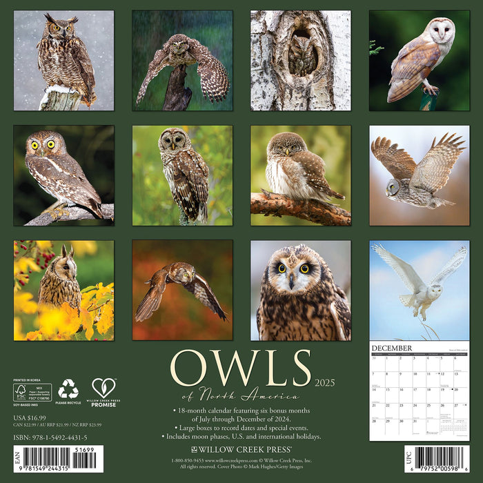 2025 Owls Wall Calendar 12 IN