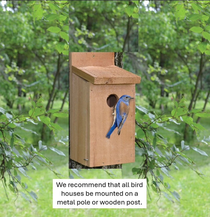 Bird Houses for Sale | View Our Selection of Beautiful Outdoor ...