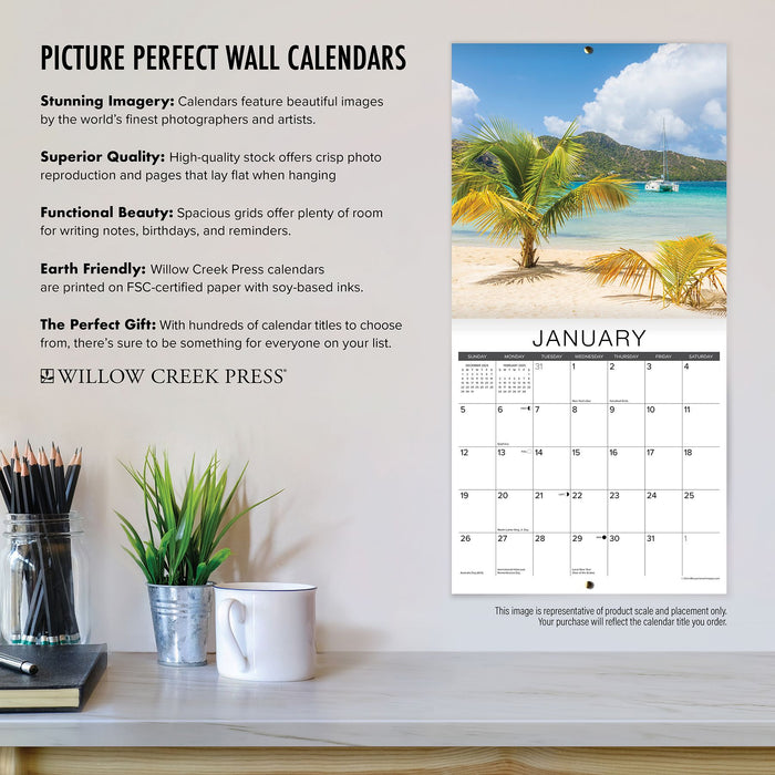 2025 Owls Wall Calendar 12 IN