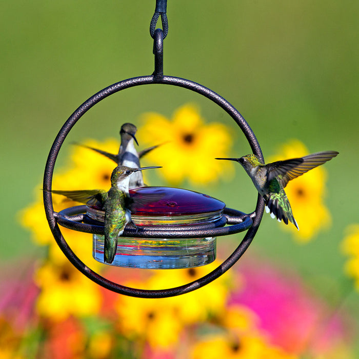 Recycled Glass 7.25 Inch Sphere Hummingbird Feeder