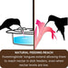 Illustration of a hummingbird reaching into a dish feeder with blue liquid and another hummingbird approaching a pink flower.