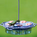 Hummingbird feeding from a purple and clear hummingbird feeder against a green background