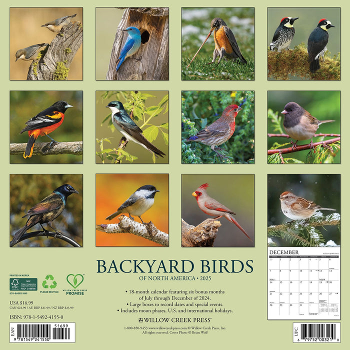 2025 Backyard Birds of North America Wall Calendar 12 IN