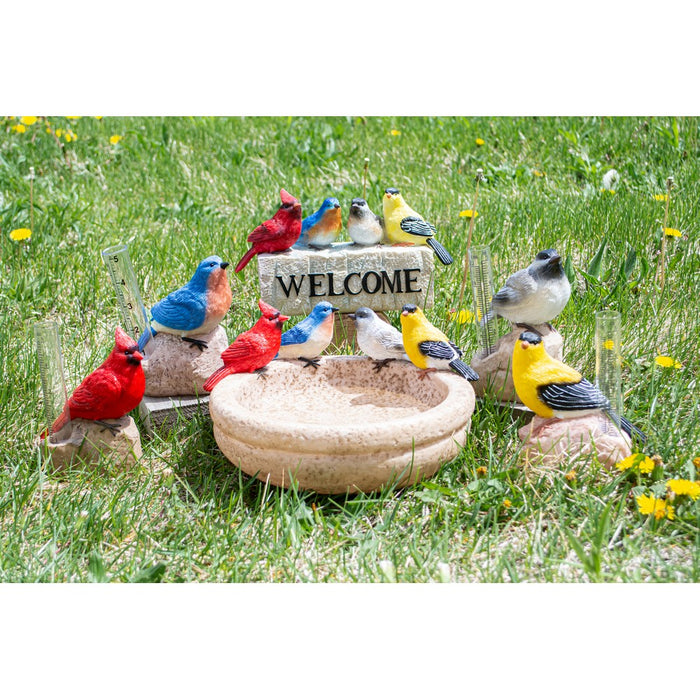 Backyard Birds Bath and Feeder