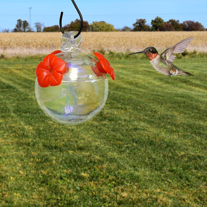 Bubble Glass Hummingbird Feeder