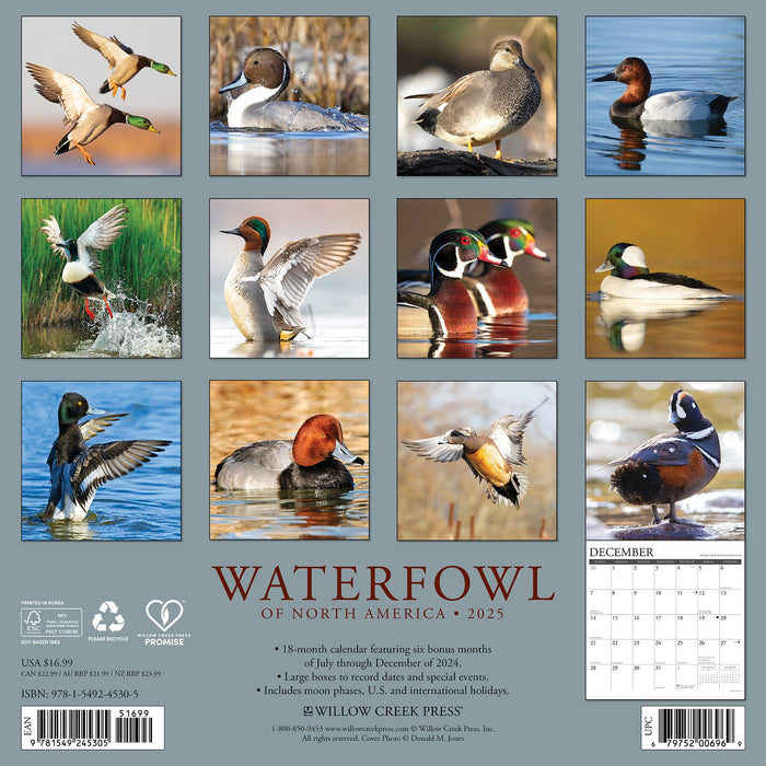 2025 Waterfowl Wall Calendar 12 IN