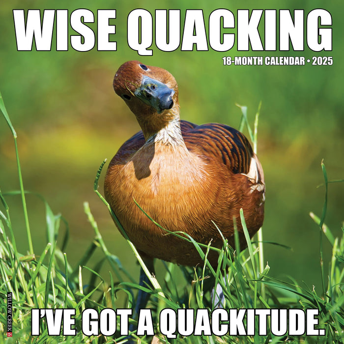 2025 Wise Quacking Wall Calendar 12 IN