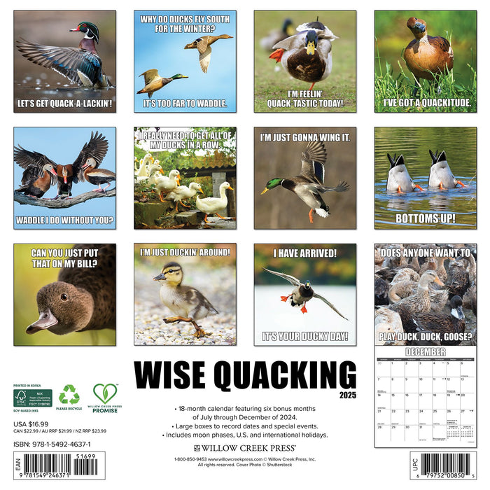 2025 Wise Quacking Wall Calendar 12 IN