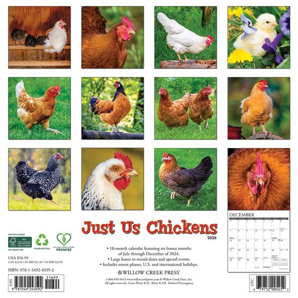 2025 Just Us Chickens Wall Calendar 12 IN