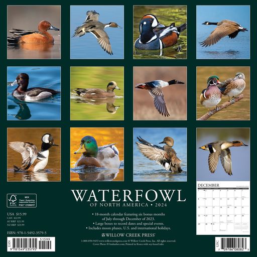 2024 Waterfowl Wall Calendar 12 IN x 12 IN