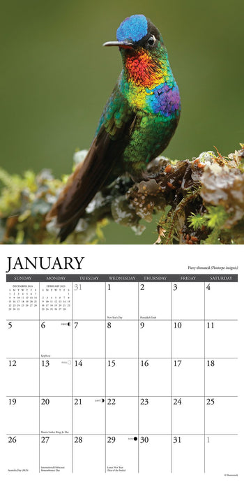 2025 Hummingbirds Wall Calendar 12 IN