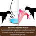 Illustration of a hummingbird reaching for nectar in a dish feeder and a flower, with text explaining natural feeding reach.