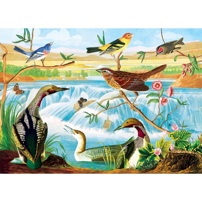 Illustration of various birds and wildlife around a pond with trees and flowers.