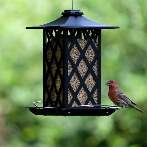 Black bird feeder with a bird perched on it against a blurred green background