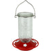 Clear glass hummingbird feeder with red base on a white background