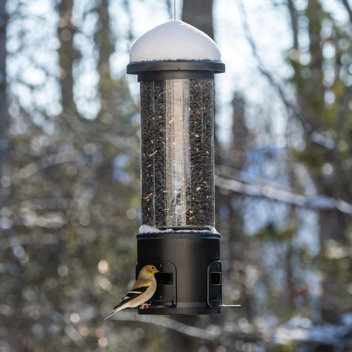 Bird feeder with a bird perched on it against a blurred forest background