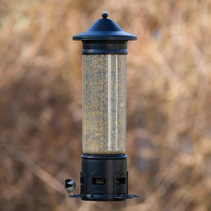 Bird feeder with bird seed and a small bird perched on it against a blurred natural background