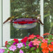 Two hummingbirds at a red window feeder with flowers in the foreground.