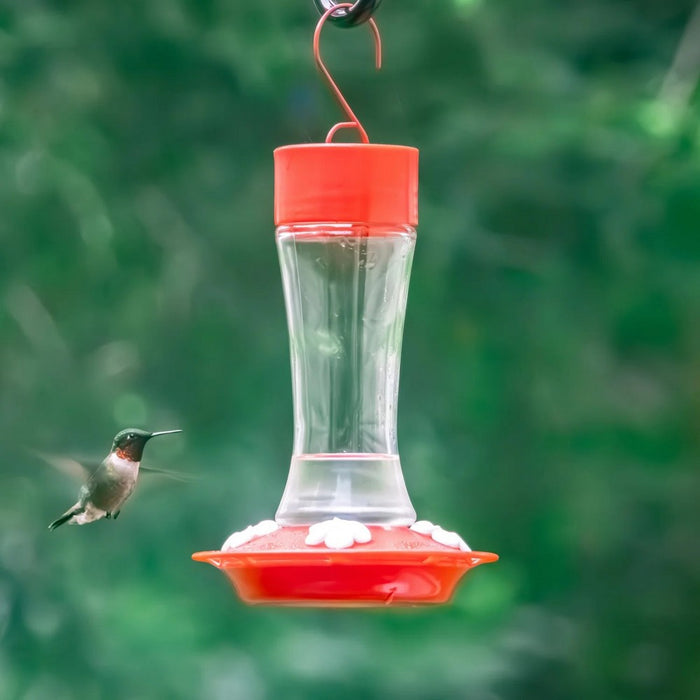 Hummingbird feeder with a hummingbird in flight against a green background