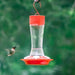 Hummingbird feeder with a hummingbird in flight against a green background