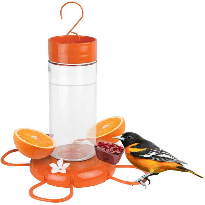 Bird feeder with oranges and jelly, featuring a bird on a white background
