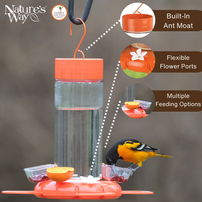 Orange bird feeder with features highlighted, including a built-in ant moat and multiple feeding options, on a gray background.