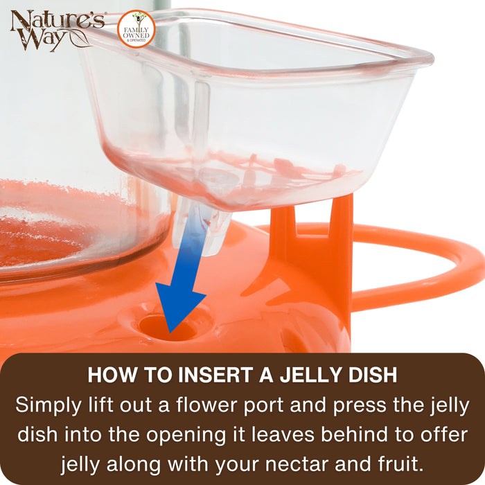 Close-up instructional graphic showing a clear jelly dish being inserted into an orange nectar dispenser, with a blue arrow pointing downward and text reading 'HOW TO INSERT A JELLY DISH' from Nature's Way Family Farm Fresh.