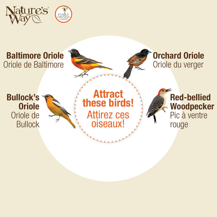 Nature's Way bird attractant packaging with illustrations of Baltimore Oriole, Orchard Oriole, Bullock's Oriole, and Red-bellied Woodpecker.