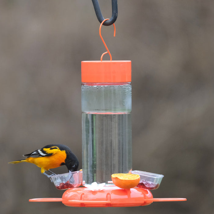 Orange bird feeder with a bird perched on it against a blurred natural background