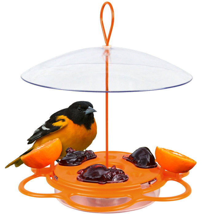 Bird feeder with orange and clear sections, featuring a bird perched on it.