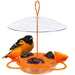 Bird feeder with orange and clear sections, featuring a bird perched on it.