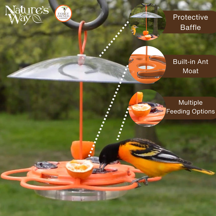 Bird feeder with protective baffle, built-in ant moat, and multiple feeding options on a green background.