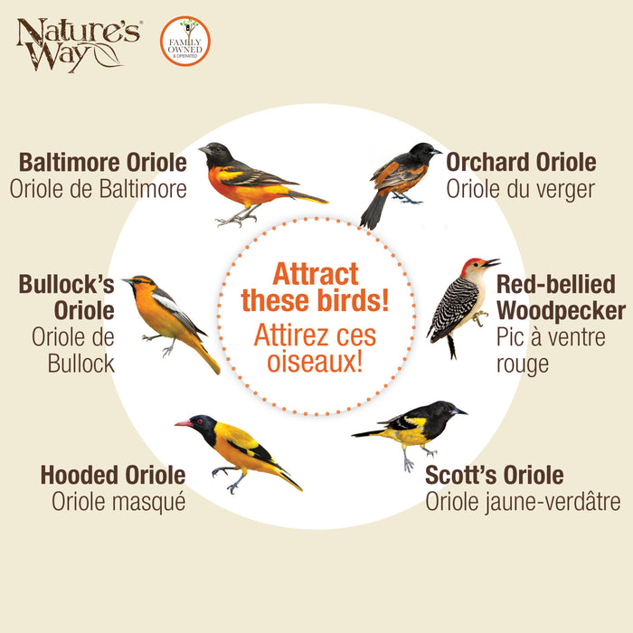 Illustration of various bird species with labels and 'Nature's Way' branding.
