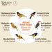 Illustration of various bird species with labels and 'Nature's Way' branding.