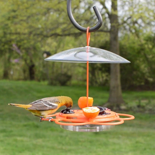 Hummingbird feeder with a bird perched on it, set against a natural outdoor background.