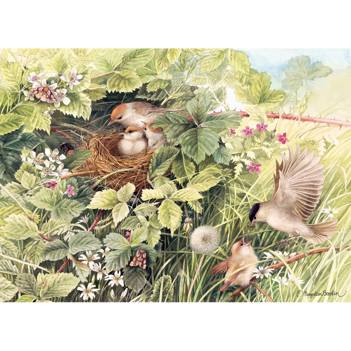 Illustration of birds around a nest in a natural setting with leaves and flowers.