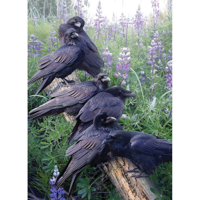 Group of crows perched on a branch amidst purple flowers