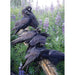 Group of crows perched on a branch amidst purple flowers