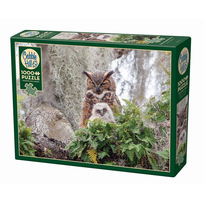 Cobble Hill puzzle box with two owls in a forest setting