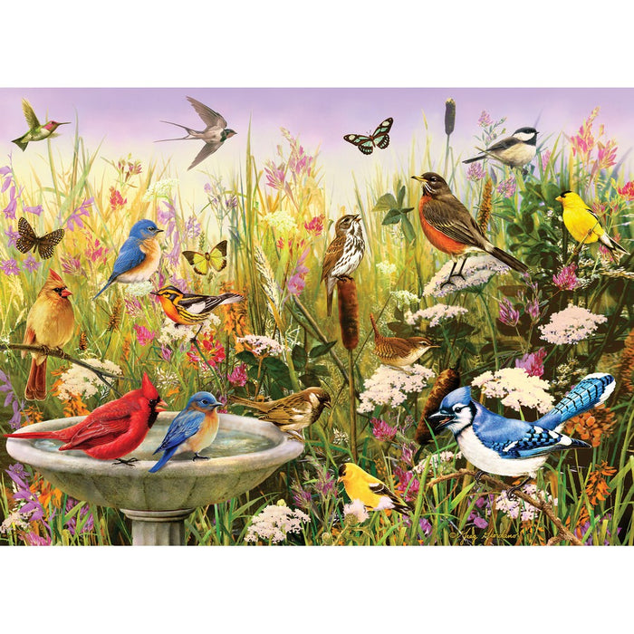 Colorful illustration of birds around a birdbath with flowers and butterflies.