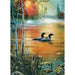 Two ducks swimming on a lake with a sunset over trees and birch trees in the foreground.