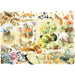 Illustration of forest animals and nature elements on a white background