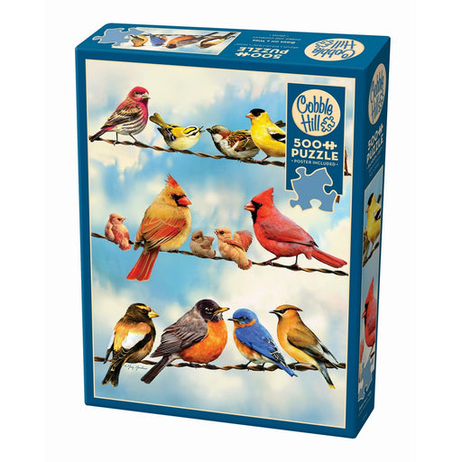 Cobble Hill puzzle box with colorful birds on a wire design