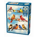 Cobble Hill puzzle box with colorful birds on a wire design