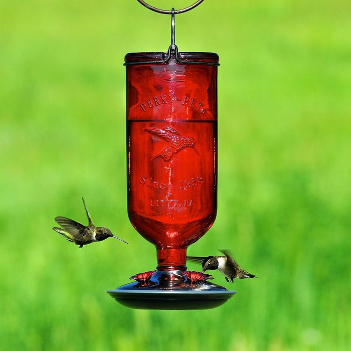 16 oz Elegant Antique Glass Bottle Hummingbird Feeder Red