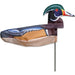 Decorative duck Decoy with colorful plumage on a white background